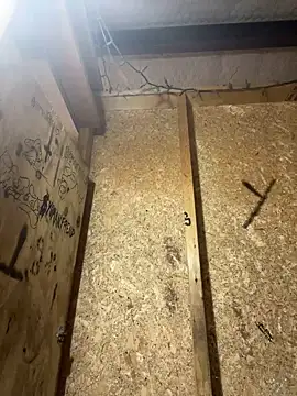 yomanfriend online show from December 21, 2024, 9:01 am