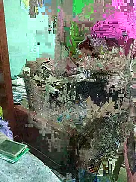 ShelfyOfferer online show from May 29, 2026, 1:36 am