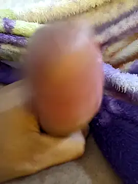 bengala223 online show from December 4, 2025, 12:14 pm