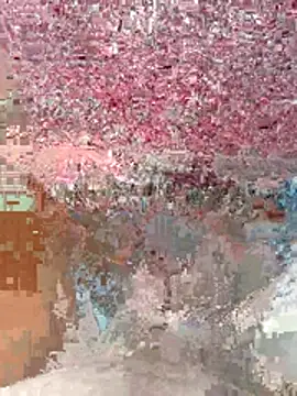 wajdi-wa7ch online show from July 29, 2026, 7:17 am