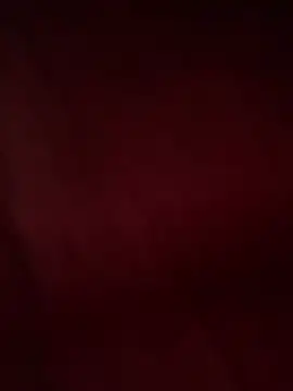 tripexnte online show from February 13, 2025, 7:45 am