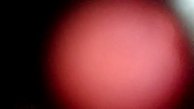 modenq online show from March 20, 2026, 2:33 pm