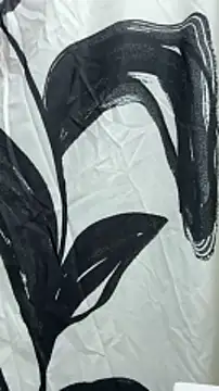 B and K online show from December 29, 2024, 4:38 am