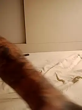 rolesexy online show from January 19, 2025, 2:47 am