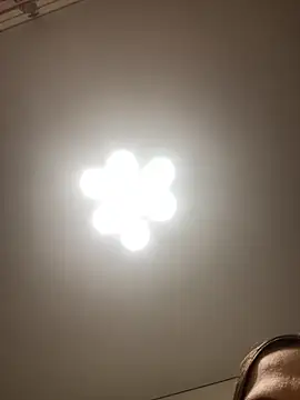 Janet Welder online show from November 16, 2025, 12:05 am