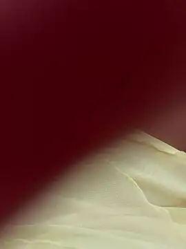 lariic online show from March 31, 2026, 6:41 pm