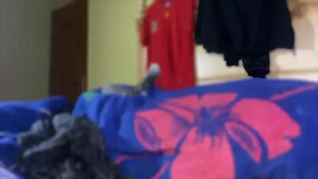 emylolo9 online show from January 3, 2025, 1:47 pm