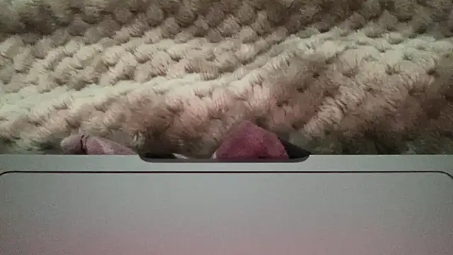 Snapshot of thick_n_hard chatting on December 14, 2024, 9:51 am thick n hard online show from December 14, 2024, 9:51 am