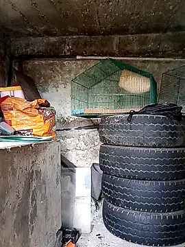 Snapshot of Elvishcassie_ chatting on October 1, 2025, 6:58 pm Elvishcassie  online show from October 1, 2025, 6:58 pm