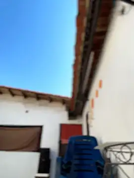 Leo bunny hot online show from February 6, 2026, 7:17 pm