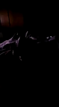 Imthegoattt online show from December 12, 2024, 11:47 pm