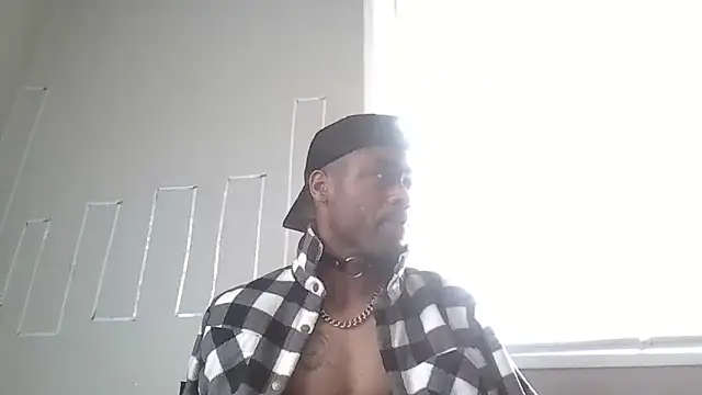 PETER-RABIT online show from December 29, 2024, 2:21 pm