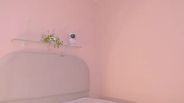 dilan sp online show from December 16, 2025, 11:32 pm