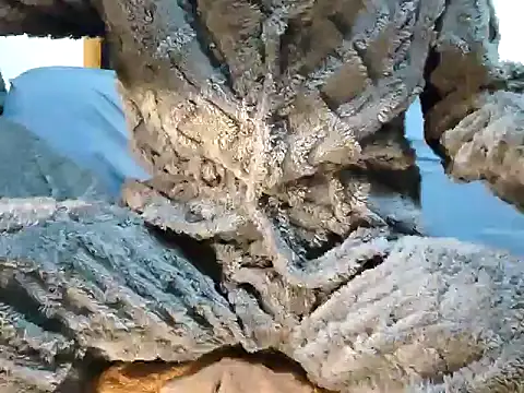 creamlive97 online show from December 30, 2024, 12:42 pm