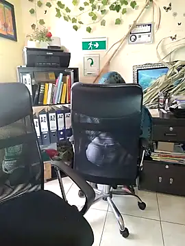 NAJWA-ARAB online show from January 15, 2025, 2:24 pm