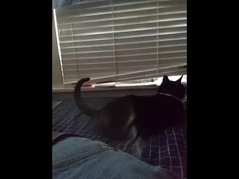 DevinToore online show from March 20, 2026, 4:12 pm