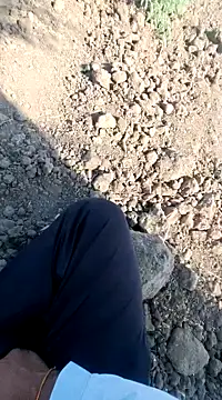 dickerdaddy25 online show from February 18, 2025, 4:26 am