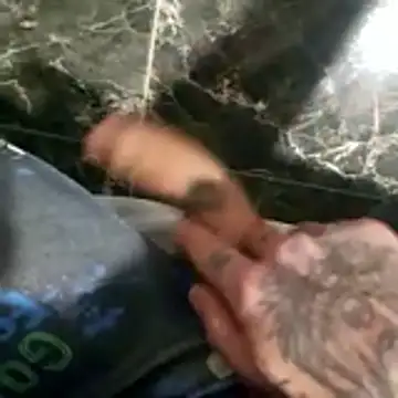 1234raul8 online show from January 12, 2026, 2:39 am