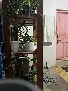 alburt 1996 online show from January 16, 2025, 3:02 pm