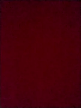 Luci foxx online show from October 8, 2025, 3:59 am