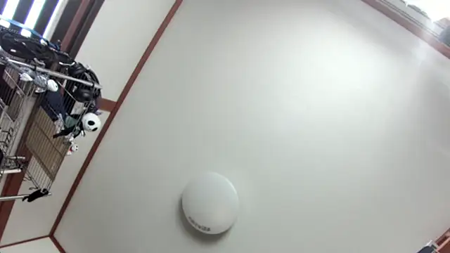 tuki fu online show from December 8, 2024, 3:10 am