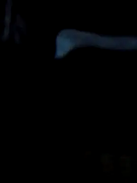 Snapshot of Antor1234 chatting on February 23, 2025, 5:07 pm Antor1234 online show from February 23, 2025, 5:07 pm