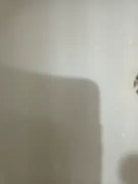 1995eduardo online show from February 17, 2025, 3:53 pm