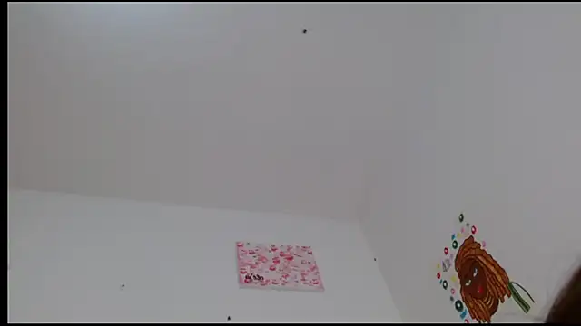 kity   online show from February 24, 2025, 4:58 pm