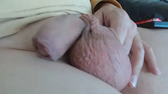 Heracles00 online show from October 22, 2025, 12:27 pm