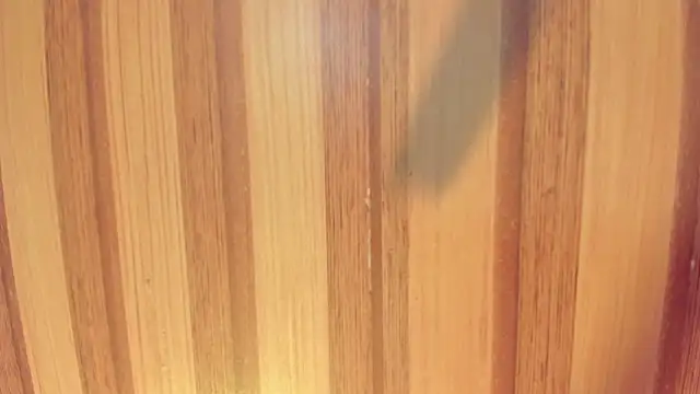 Snapshot of Taylor__cooper chatting on December 1, 2025, 6:24 pm Taylor cooper online show from December 1, 2025, 6:24 pm