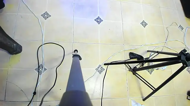 playsgirlhot online show from February 22, 2025, 2:39 am