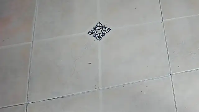 playsgirlhot online show from February 3, 2026, 11:15 am