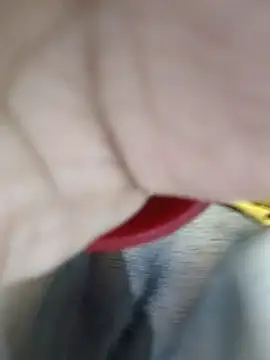 yoursweety09 online show from July 19, 2026, 1:48 pm