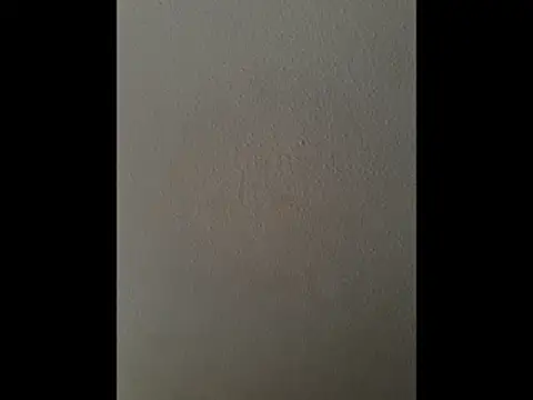 Snapshot of cretanbi chatting on November 21, 2025, 12:48 pm cretanbi online show from November 21, 2025, 12:48 pm