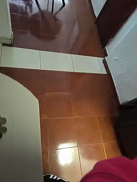 Dyr08 online show from November 10, 2025, 5:01 pm