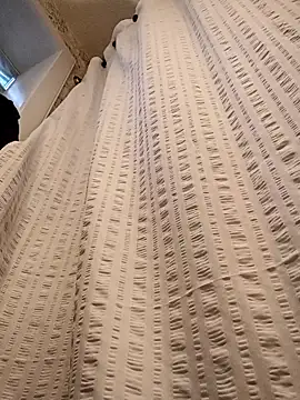 Snapshot of Brickstash chatting on November 4, 2025, 1:10 pm Brickstash online show from November 4, 2025, 1:10 pm