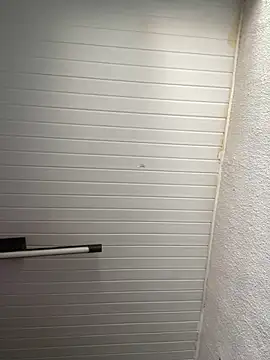 luara1988 online show from November 12, 2025, 12:27 pm