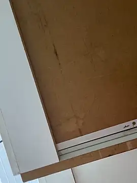 luara1988 online show from February 18, 2026, 5:31 pm