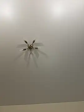 Snapshot of Sweet_Khalifa_ chatting on February 14, 2025, 4:31 pm Sweet Khalifa  online show from February 14, 2025, 4:31 pm