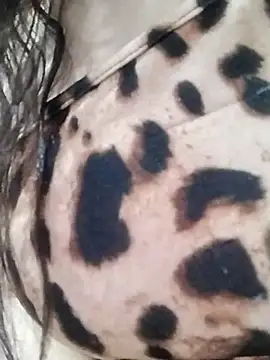 Snapshot of Cristina_sexy_maroc chatting on January 31, 2026, 11:47 pm Cristina sexy maroc online show from January 31, 2026, 11:47 pm