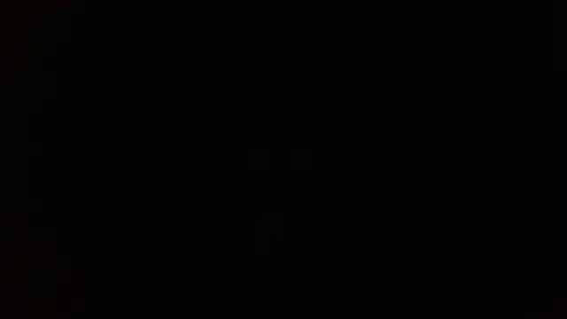        the online show from December 14, 2025, 8:24 pm