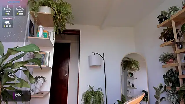 Snapshot of Johaphyton chatting on January 18, 2025, 9:13 pm Johaphyton online show from January 18, 2025, 9:13 pm