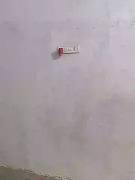 Ramya-Lovely online show from December 5, 2024, 4:09 am