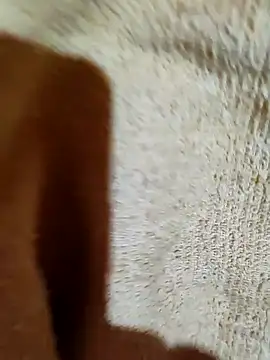 moreninha hoott online show from December 14, 2024, 12:55 pm