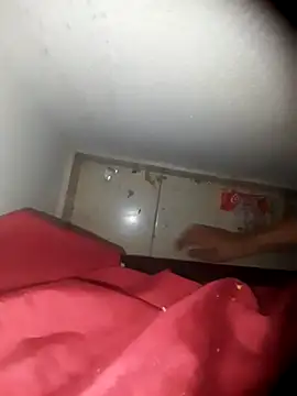 Snapshot of alexandre12115 chatting on February 2, 2025, 9:08 am alexandre12115 online show from February 2, 2025, 9:08 am