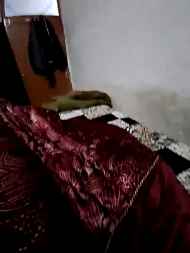 menakshiiikaur online show from December 13, 2024, 2:16 pm