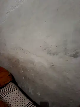 menakshiiikaur online show from December 19, 2024, 1:40 pm