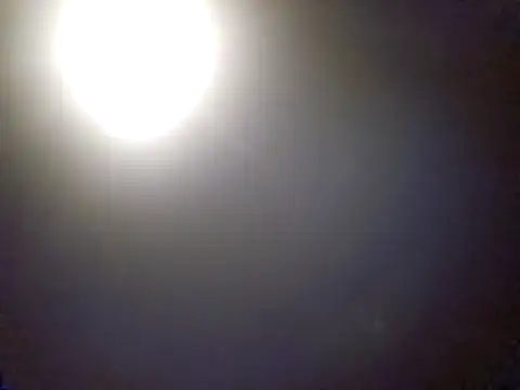 ThatPlatinumD online show from December 17, 2025, 11:33 pm