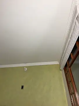 aurora divine online show from November 21, 2025, 10:52 pm