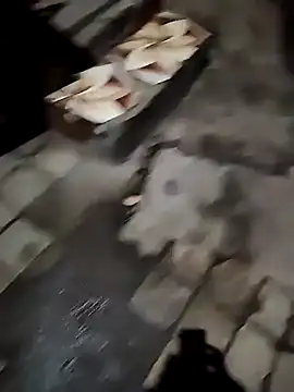 Mumbai Boy k online show from December 7, 2024, 12:52 am